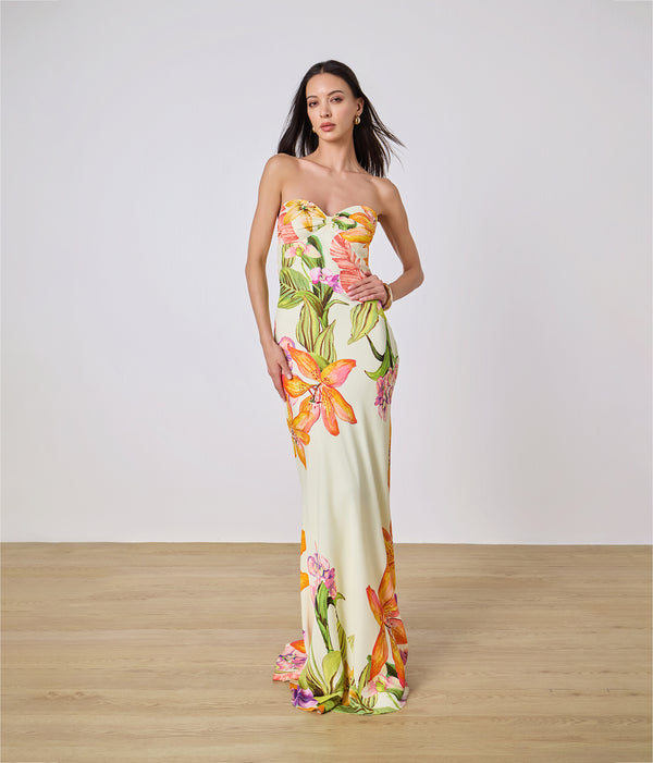 Dior Strapless Maxi Dress