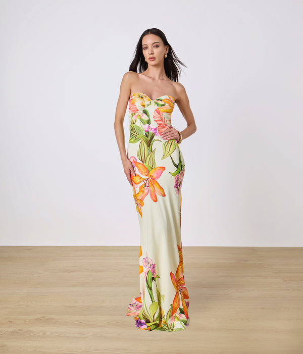 Dior Strapless Maxi Dress