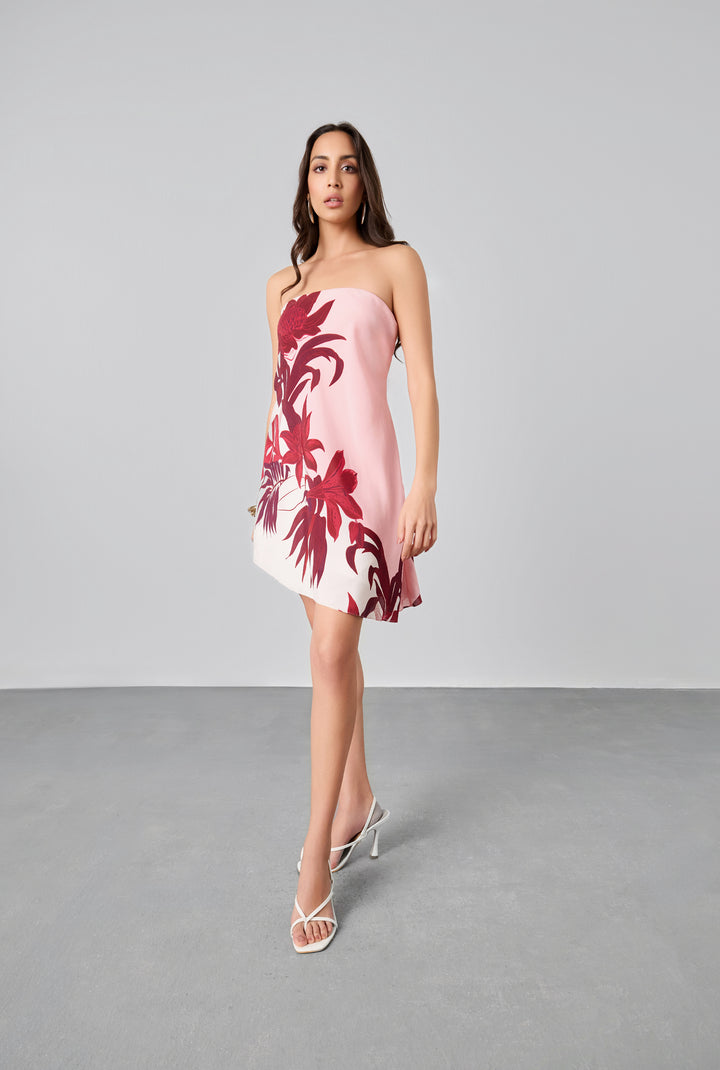 Eve Mini Dress BY HEMANT & NANDITA