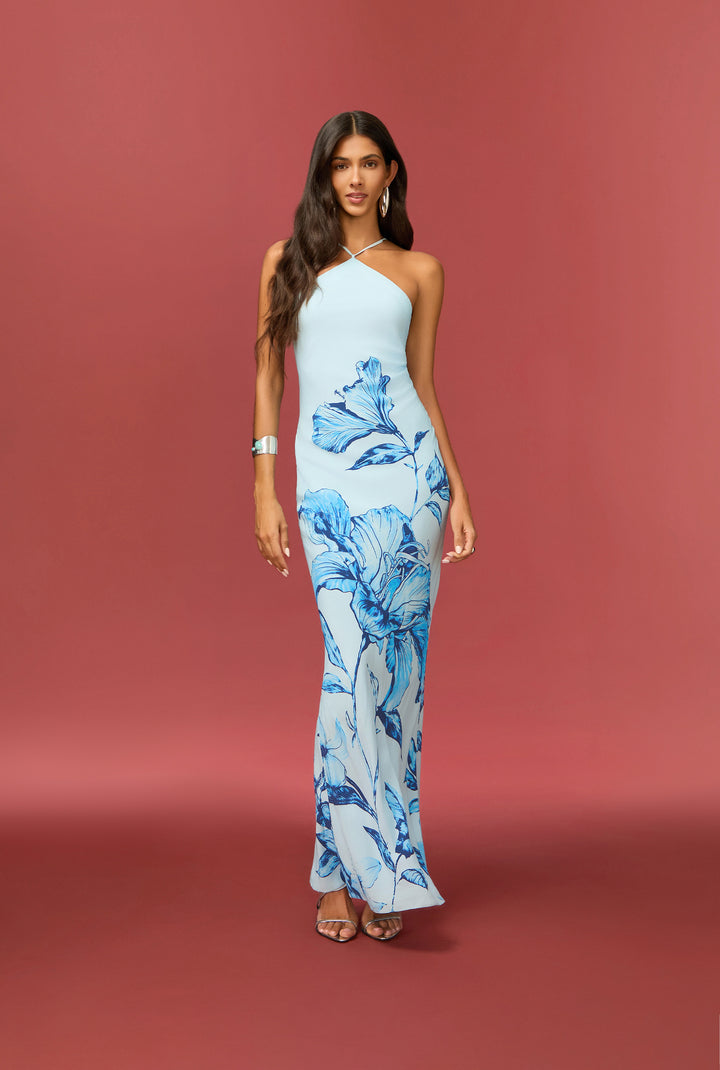 MiloHalterMaxiDressBYHEMANT_NANDITA_1